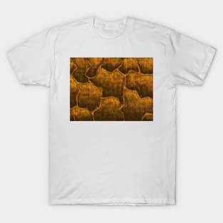 Stone wall T-Shirt